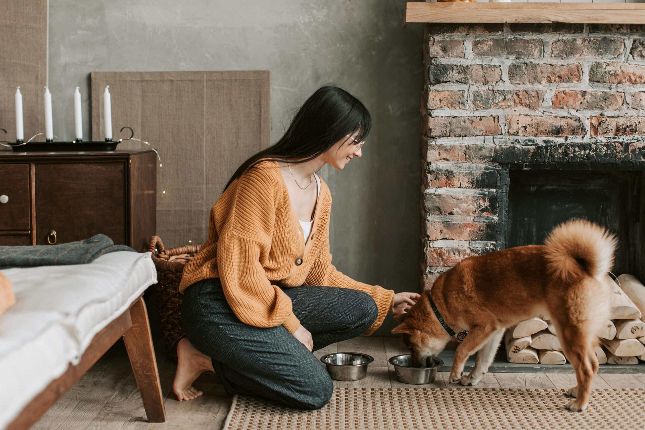 Dog Diet BARF: 7 Expert-Backed Tips for Digestive Relief